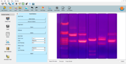 SnapQuant analyzer